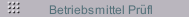 Betriebsmittel Prüfl