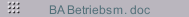 BA Betriebsm. doc